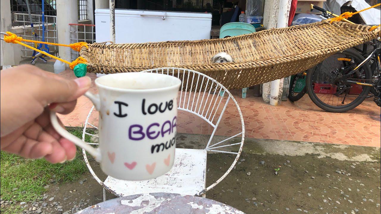 'Video thumbnail for Having Coffee with My Shih Tzu ๐พ'