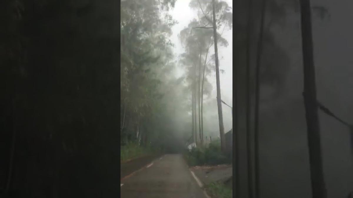 'Video thumbnail for Going to Bee Farm Bukidnon'