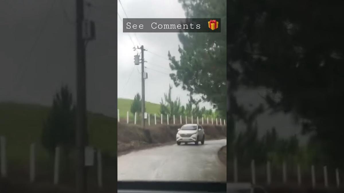 'Video thumbnail for What place is this? Another drive on the road with awesome pine trees views'