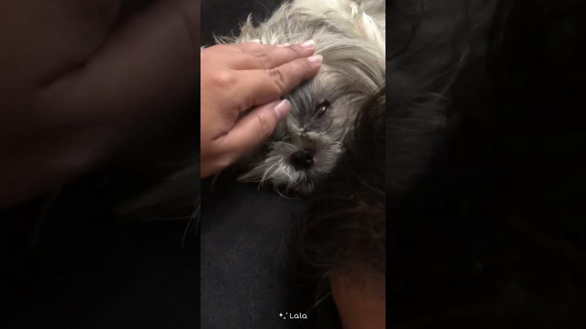 Humix video